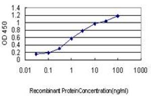Detection limit for recombinant GST tagged AURKB is approximately 0. (Aurora Kinase B antibody  (AA 1-90))