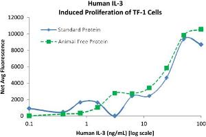 SDS-PAGE of Human Interleukin-3 Recombinant Protein (Animal Free) Bioactivity of Human Interleukin-3 AF Recombinant Protein. (IL-3 Protein)
