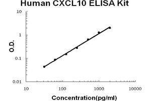 Human CXCL10/IP-10 Accusignal ELISA Kit Human CXCL10/IP-10 AccuSignal ELISA Kit standard curve. (CXCL10 ELISA Kit)