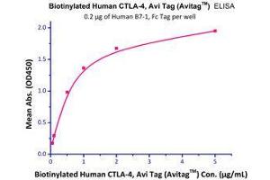 Immobilized Human B7-1, Fc Tag (HPLC-verified) with a linear range of 50 - 500 ng/mL.