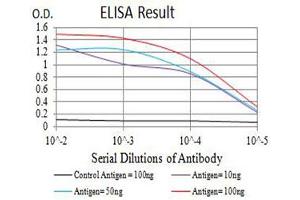 Black line: Control Antigen (100 ng),Purple line: Antigen (10 ng), Blue line: Antigen (50 ng), Red line:Antigen (100 ng) (GLRA1 antibody  (AA 29-154))