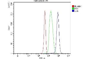 Flow Cytometry analysis of Jurkat cells using anti-T12/CD6 antibody (ABIN7599974). (CD6 antibody  (AA 133-608))