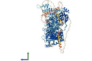 Protein Structure (PS) image for phosphorylase Kinase, alpha 1 (Muscle) (PHKA1) (AA 1-1241) protein (His tag) (ABIN7562931)