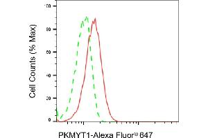 Flow cytometric analysis of PKMYT1 expression in HepG2 cells using PKMYT1 antibody (ABIN7800016), 1:2,000). (Recombinant PKMYT1 antibody)