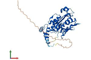 Protein Structure (PS) image for Exoribonuclease 1 (ERI1) (AA 1-345) protein (His tag) (ABIN7558211)