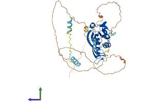 AlphaFold protein structure predicition of Human Recombinant KCTD16 Protein, UniprotID Q68DU8