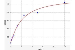 Typical standard curve (AKT1 ELISA Kit)