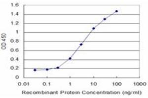 Detection limit for recombinant GST tagged NME2 is approximately 0. (NME2 antibody  (AA 1-152))