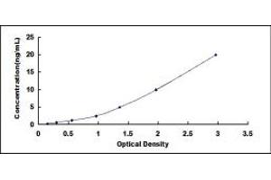 Typical standard curve (Myogenin ELISA Kit)