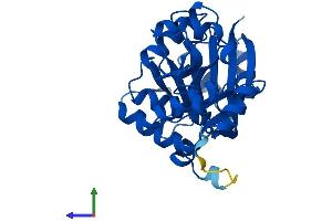 AlphaFold protein structure predicition of Mouse Recombinant Glyat Protein, UniprotID Q91XE0 (GLYAT Protein (AA 1-296) (His tag))