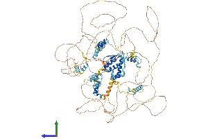 AlphaFold protein structure predicition of Human Recombinant TSHZ2 Protein, UniprotID Q9NRE2 (TSHZ2 Protein (AA 1-1034) (His tag))