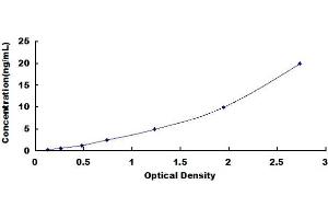 PCNT ELISA Kit