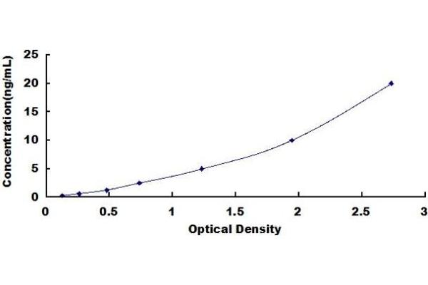 PCNT ELISA Kit