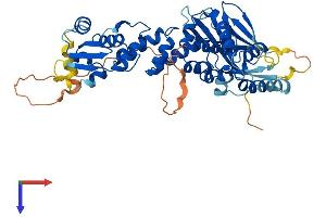Germ Cell-Less, Spermatogenesis Associated 1 Pseudogene 1 (GMCL1P1) (AA 1-498) protein (His tag)