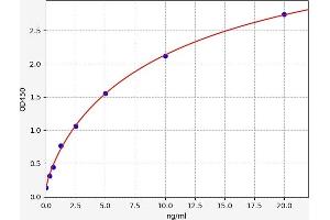 Typical standard curve (MUC2 ELISA Kit)