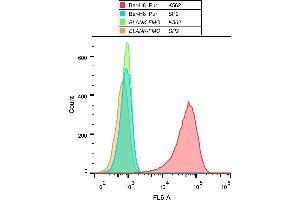 Flow cytometry analysis (surface staining) of K562 cells with anti-human CD30 (Ber-H8) purified, GAM APC. (TNFRSF8 antibody)