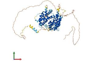 Protein Structure (PS) image for PARP1 Binding Protein (PARPBP) (AA 1-579) protein (His tag) (ABIN7550661)