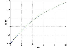 Secreted Frizzled-Related Protein 1 (SFRP1) ELISA Kit