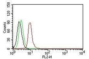 Flow Cytometry of human Cyclin D1 on Jurkat cells. (Cyclin D1 antibody)