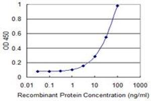 Detection limit for recombinant GST tagged NME3 is 0. (NME3 antibody  (AA 73-169))