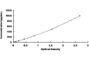 Typical standard curve (LRP2 ELISA Kit)