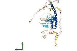 AlphaFold protein structure predicition of Mouse Recombinant Ankrd53 Protein, UniprotID Q3V0J4 (ANKRD53 Protein (AA 1-497) (His tag))