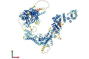 AlphaFold protein structure predicition of Mouse Recombinant Rab3gap2 Protein, UniprotID Q8BMG7 (RAB3GAP2 Protein (AA 1-1366) (His tag))