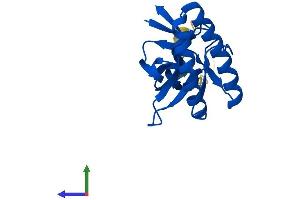 Protein Structure (PS) image for Tumor Protein, Translationally-Controlled 1 (TPT1) (AA 1-172) protein (His tag) (ABIN7544202)