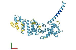AlphaFold protein structure predicition of Mouse Recombinant Psmd13 Protein, UniprotID Q9WVJ2 (PSMD13 Protein (AA 1-376) (His tag))