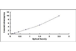 Typical standard curve (COX2 ELISA Kit)