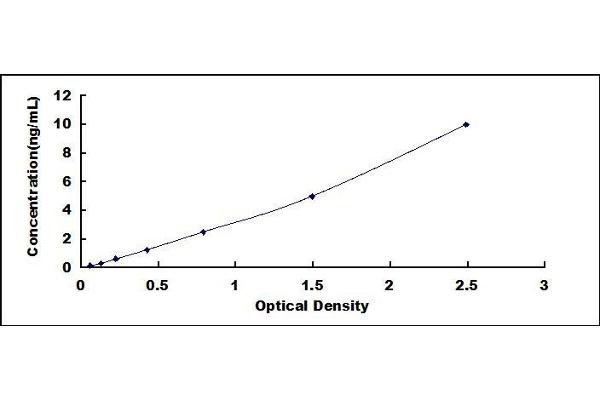 COX2 ELISA Kit