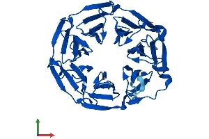 AlphaFold protein structure predicition of Human Recombinant KLHDC8A Protein, UniprotID Q8IYD2
