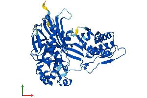 AlphaFold protein structure predicition of Mouse Recombinant Shpk Protein, UniprotID Q9D5J6 (SHPK Protein (AA 1-476) (His tag))
