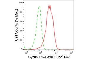 Flow cytometric analysis of Cyclin E1 expression in HeLa cells using Cyclin E1 antibody (ABIN7798197), 1:2,000). (Recombinant Cyclin E1 antibody)