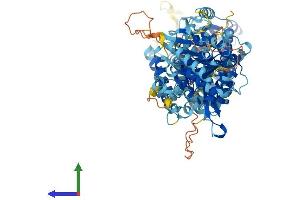 AlphaFold protein structure predicition of Human Recombinant SLC12A9 Protein, UniprotID Q9BXP2