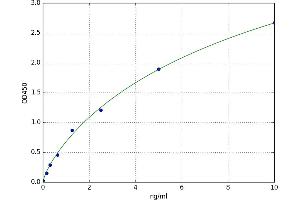 Snail Family Zinc Finger 2 (SNAI2) ELISA Kit