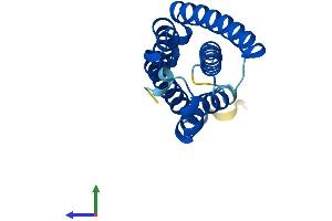 AlphaFold protein structure predicition of Mouse Recombinant Tmem220 Protein, UniprotID Q8BP07 (TMEM220 Protein (AA 1-167) (His tag))