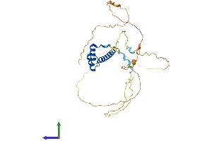 AlphaFold protein structure predicition of Human Recombinant CDX2 Protein, UniprotID Q99626