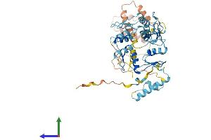 AlphaFold protein structure predicition of Human Recombinant ZNF716 Protein, UniprotID A6NP11