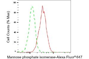 Flow cytometric analysis of Mannose phosphate isomerase expression in HeLa cells using Mannose phosphate isomerase antibody (ABIN7799328), 1:2,000). (MPI antibody)