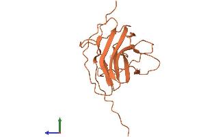 AlphaFold protein structure predicition of Human Recombinant C7orf33 Protein, UniprotID Q8WU49 (C7ORF33 Protein (AA 1-177) (His tag))