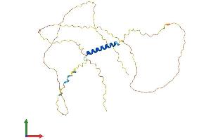 AlphaFold protein structure predicition of Mouse Recombinant Jsrp1 Protein, UniprotID Q3MI48