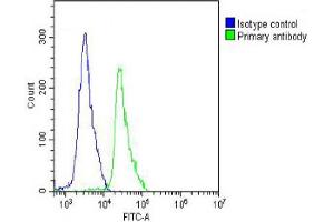 Overlay histogram showing Jurkat cells stained with (ABIN389186 and ABIN2839349) (green line). (Cadherin 5 antibody  (N-Term))