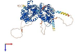 Solute Carrier Family 14 (Urea Transporter, Kidney) Member 2 (SLC14A2) (AA 1-920) protein (His tag)