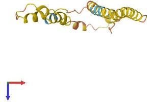 AlphaFold protein structure predicition of Human Recombinant TMEM14EP Protein, UniprotID Q6UXP3 (TMEM14E Protein (AA 1-125) (His tag))