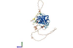 AlphaFold protein structure predicition of Human Recombinant USP17L7 Protein, UniprotID P0C7H9 (USP17L7 Protein (AA 1-530) (His tag))