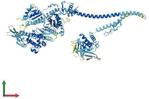 Protein Structure (PS) image for Myosin IA (MYO1A) (AA 1-1043) protein (His tag) (ABIN7554670)