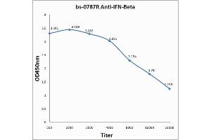 Antigen: 0. (IFNB1 antibody  (AA 101-187))