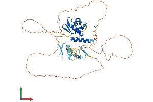 Protein Structure (PS) image for Zinc Finger and BTB Domain Containing 25 (ZBTB25) (AA 1-435) protein (His tag) (ABIN7545425)