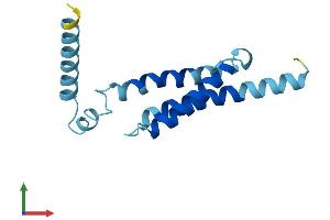 AlphaFold protein structure predicition of Mouse Recombinant Mpc2 Protein, UniprotID Q9D023 (BRP44 Protein (AA 1-127) (His tag))